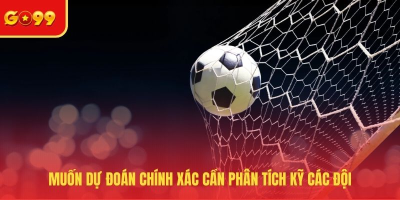 Muốn dự đoán chính xác cần phân tích kỹ các đội
